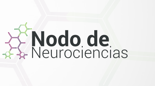 No hay una imagen disponible